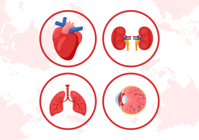 Organ Donor  Illustration