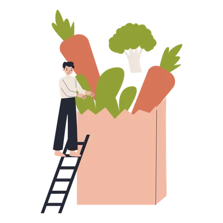 Organic Food  Illustration