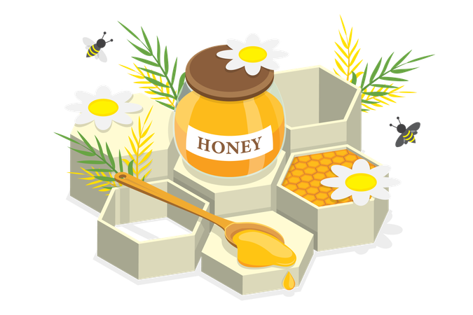 Organic Honey  Illustration