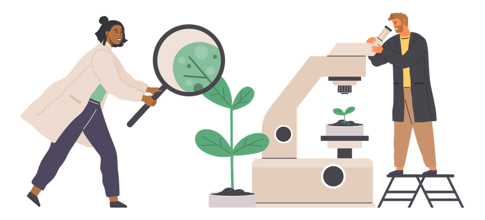 Organic Product Research  Illustration