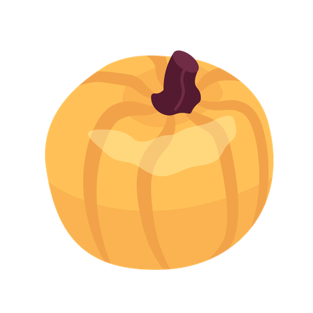 Organic pumpkin thanksgiving  Illustration