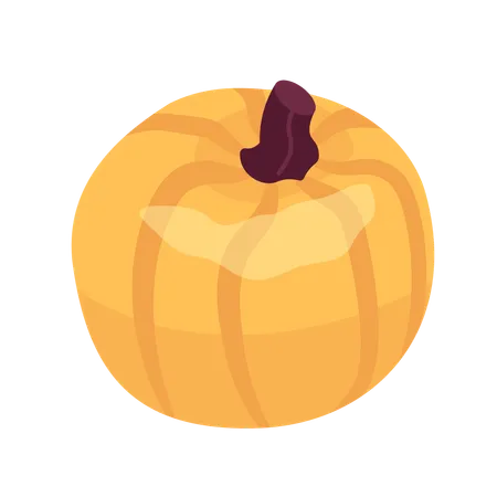 Organic pumpkin thanksgiving  Illustration