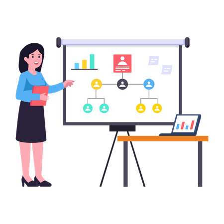 Organizational Structure  Illustration