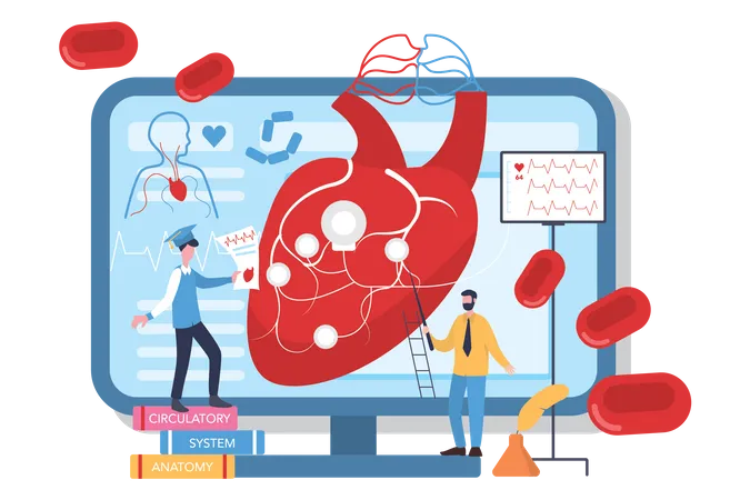 Órgãos cardíacos internos humanos  Ilustração