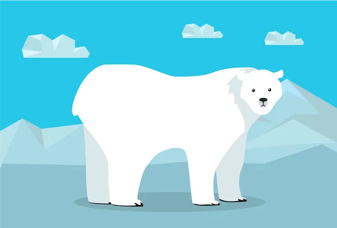 Oso polar  Ilustración