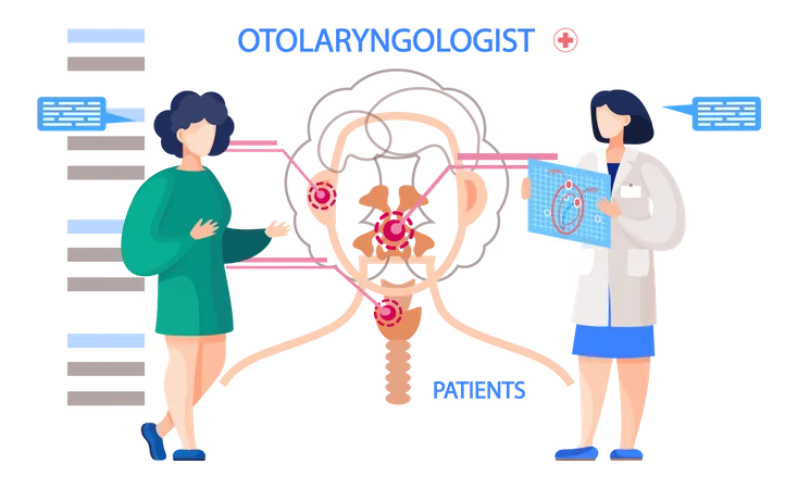 Otorhinolaryngology  Illustration