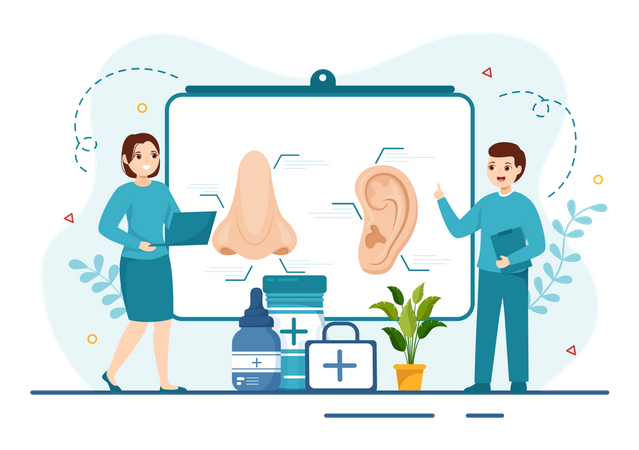 Otorhinolaryngology chart  Illustration