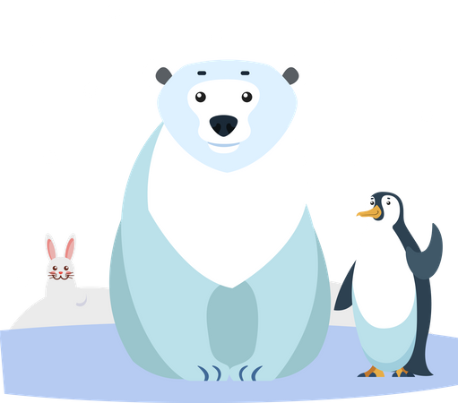 Ours et pingouin  Illustration