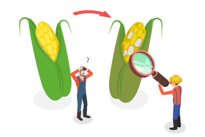 Overripe Harvest Illustration
