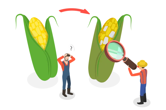 Overripe Harvest Illustration