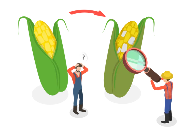 Overripe Harvest  Illustration