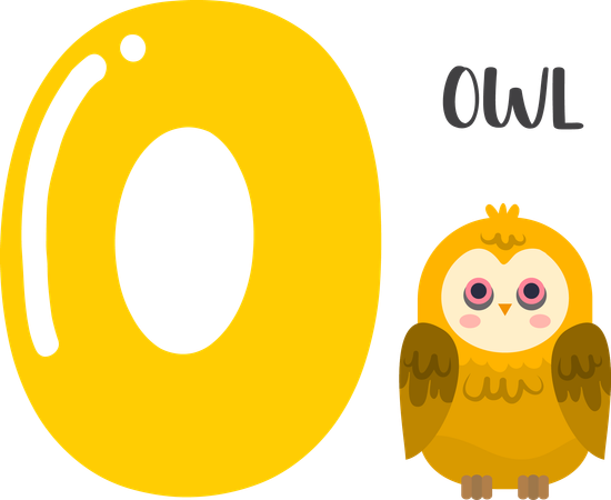 Owl  Illustration