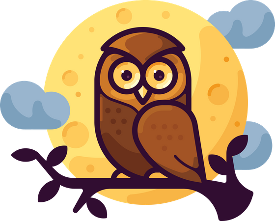 Owl  Illustration