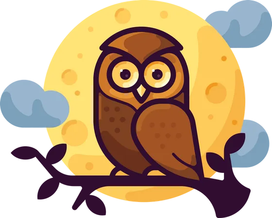 Owl  Illustration