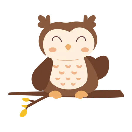 Owlet  Illustration