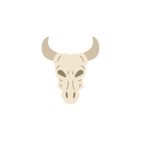 Ox skull  Illustration