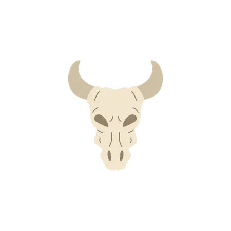 Ox skull  Illustration