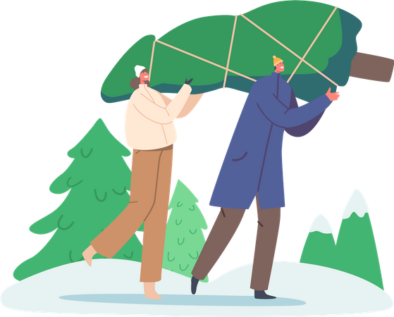 Paar nimmt Weihnachtsbaum zu Hause  Illustration