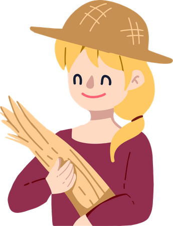 Paddy Harvest  Illustration