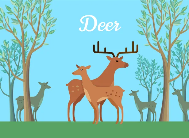 Pair of Deer  Illustration