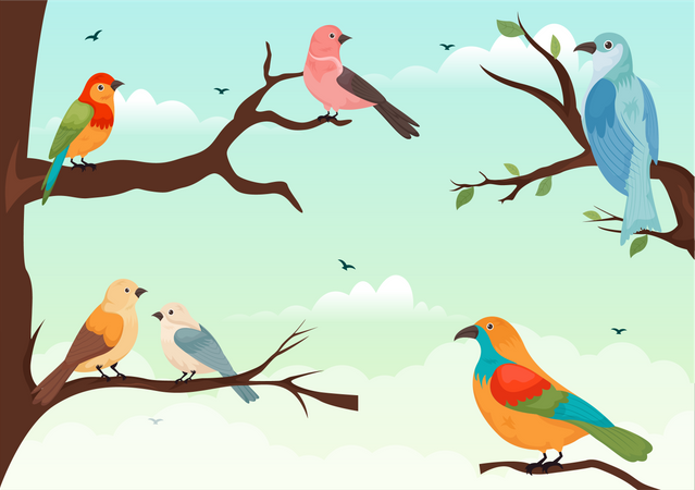 Aves  Ilustración