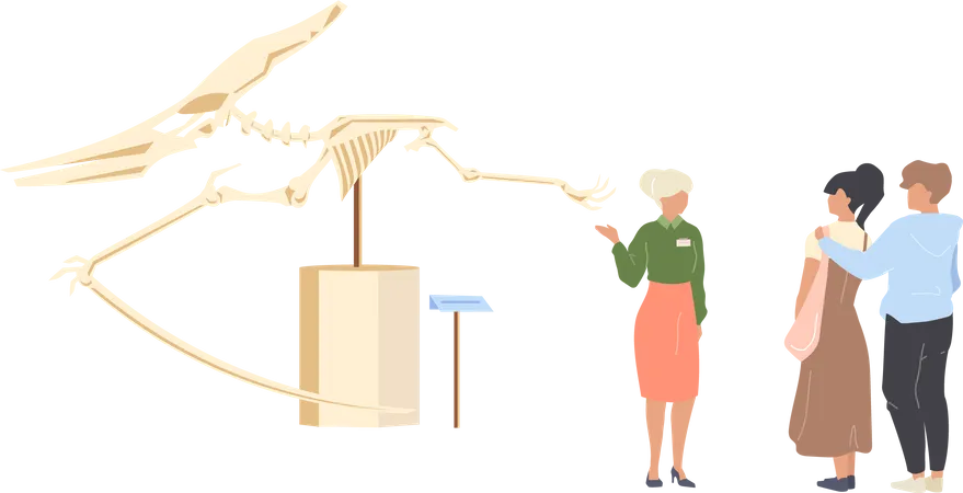 Paläontologie Museum Tourist  Illustration