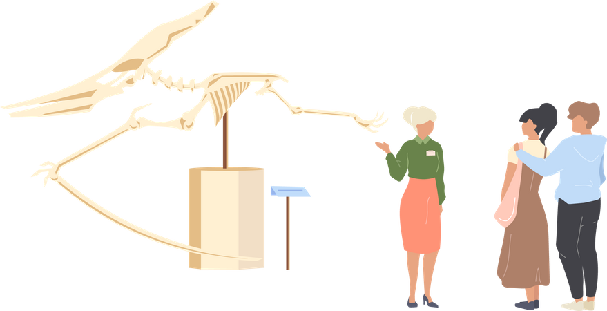 Turista do museu de paleontologia  Ilustração