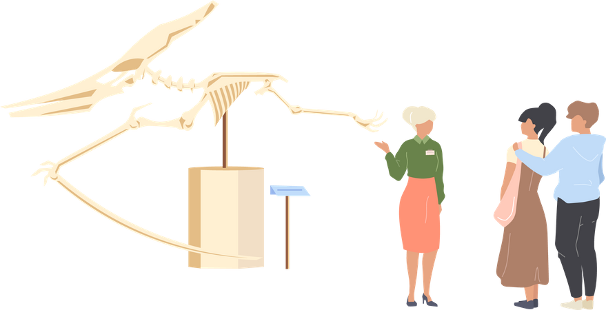 Touriste du musée de paléontologie  Illustration