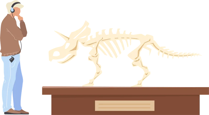 Paleontology exhibition Illustration