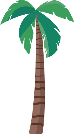 Palmeira  Ilustração