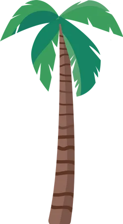 Palmeira  Ilustração