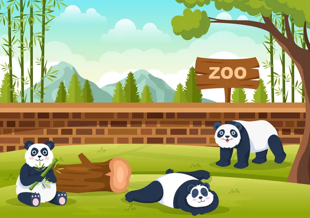Panda en el zoológico  Ilustración