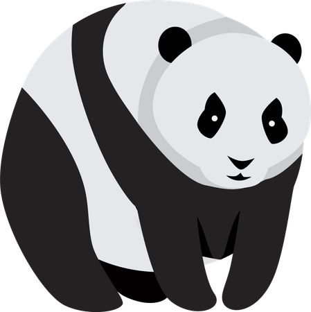 Panda géant  Illustration