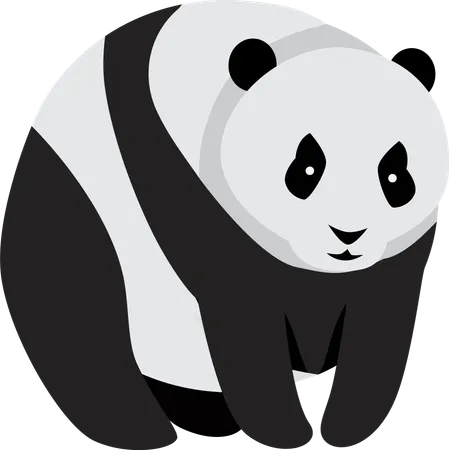 Panda gigante  Ilustración