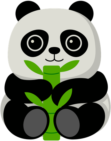 Panda  Illustration