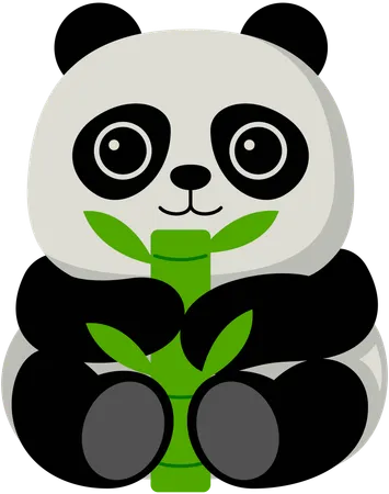 Panda  Illustration