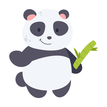 Panda  Illustration