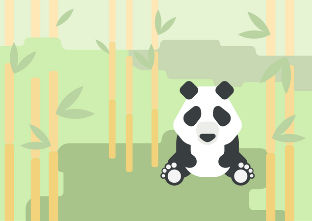 Panda  Illustration