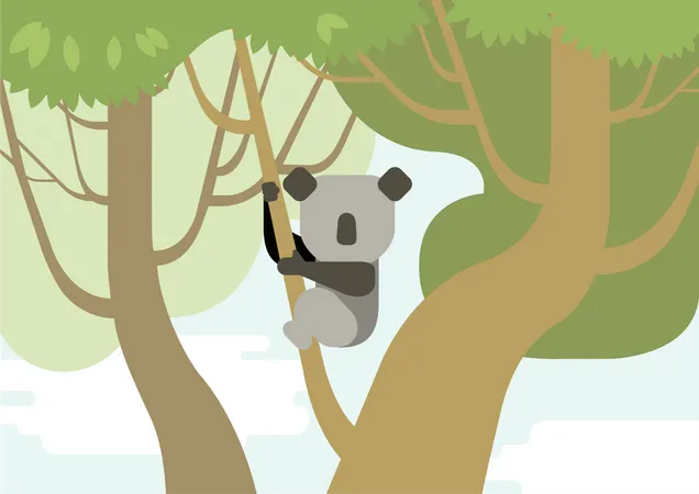 Panda  Illustration