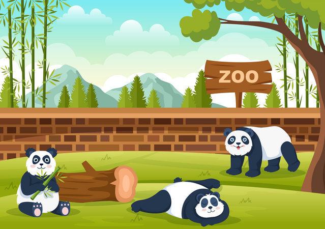 Panda in zoo  Illustration