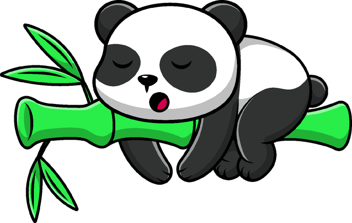 Panda Sleeping Bamboo  Illustration