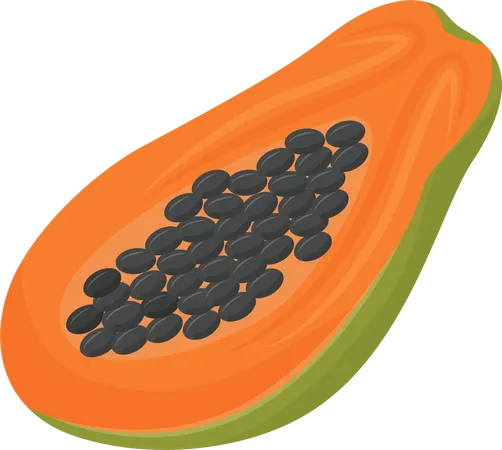 Papaya Illustration
