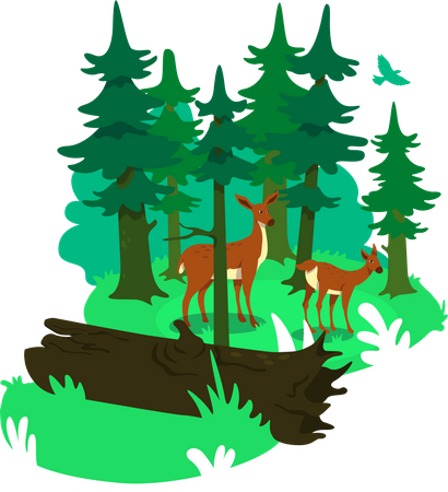 Parc national  Illustration