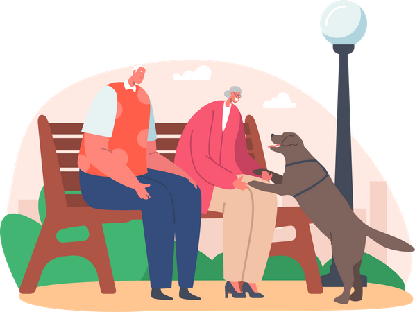 Una pareja de ancianos pasa tiempo en el parque mientras está sentado en un banco del parque  Ilustración