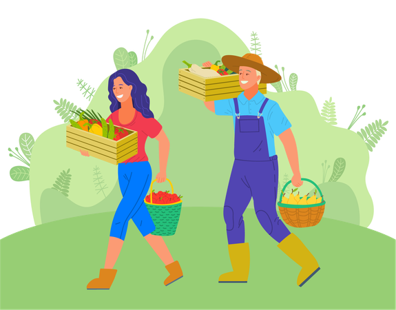 Pareja de agricultores cosechando verduras frescas  Ilustración