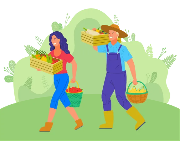 Pareja de agricultores cosechando verduras frescas  Ilustración