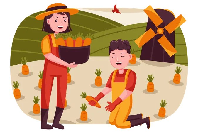 Pareja de agricultores recogiendo zanahorias de la granja  Ilustración