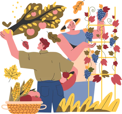 Pareja decorando su casa para la temporada de otoño  Illustration