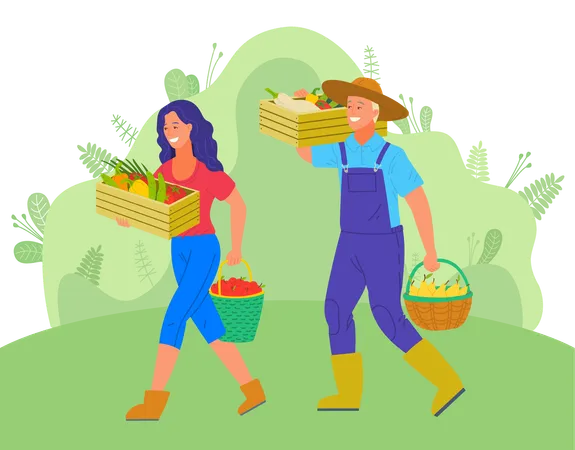 La pareja está recogiendo frutas del jardín.  Ilustración