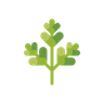 illustration parsley